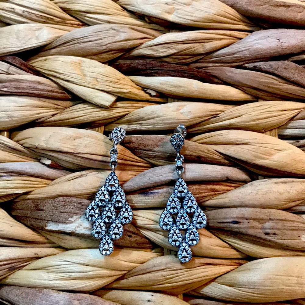 Beautiful silver earrings